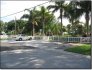 brown park_4
